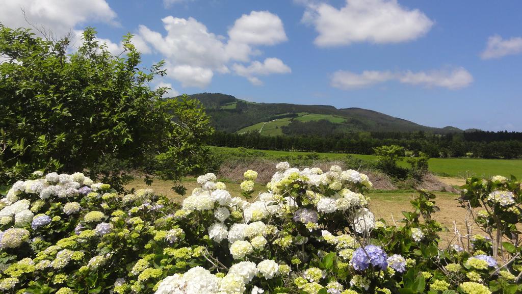 Vila Quinta Do Chico Feijao Lajes Pokoj fotografie