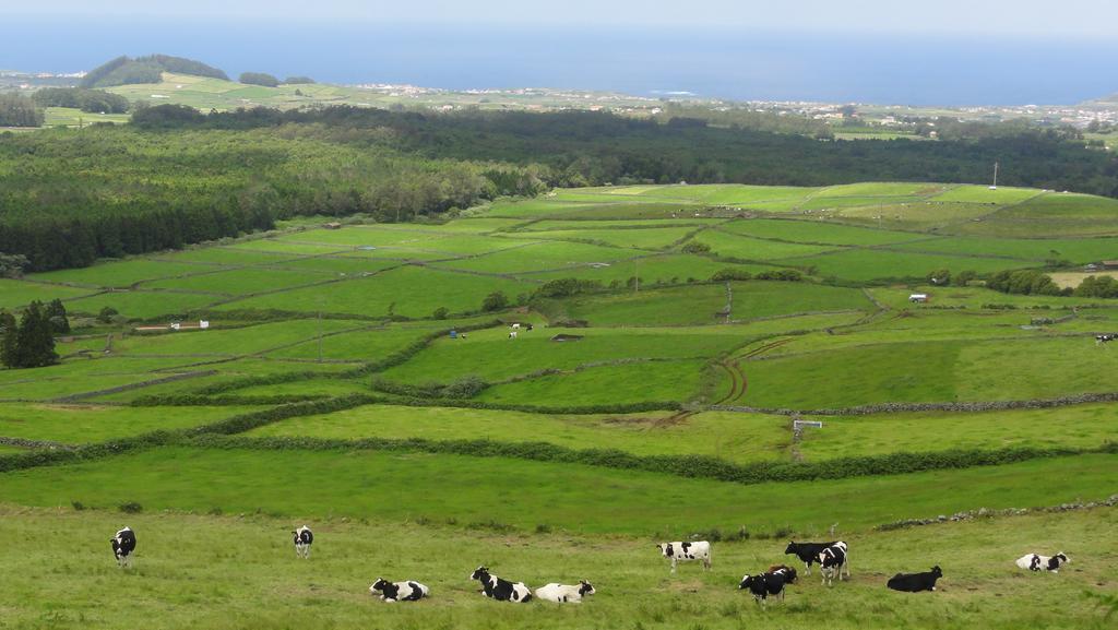 Vila Quinta Do Chico Feijao Lajes Pokoj fotografie